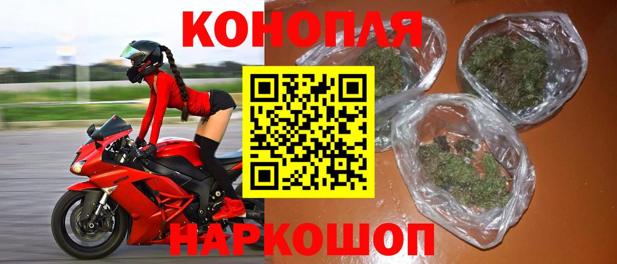 Шишки марихуана тримм  Вход с VPN  Марихуана план  Приморско-Ахтарск 